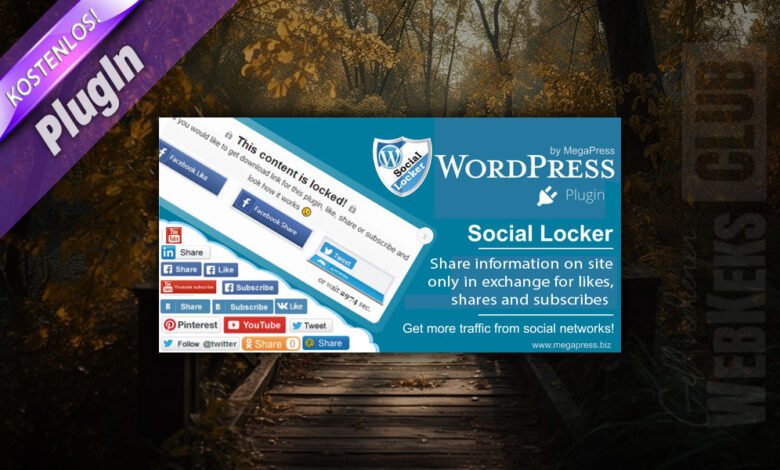 PlugIn, Social Locker